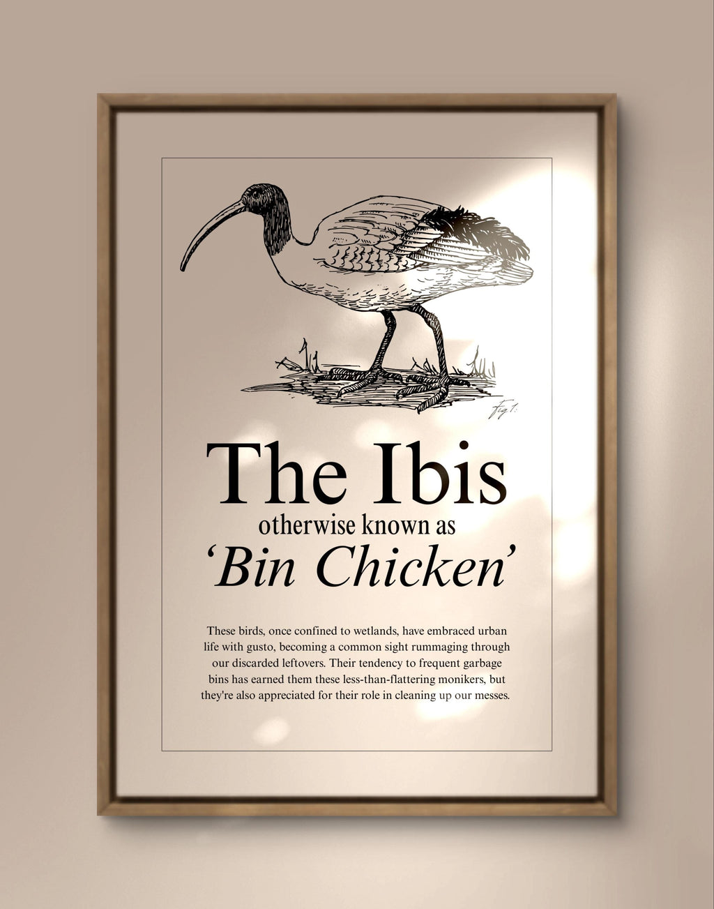 Vintage Style Ibis Art Print