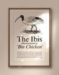 Vintage Style Ibis Art Print